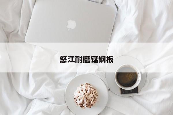 怒江耐磨錳鋼板